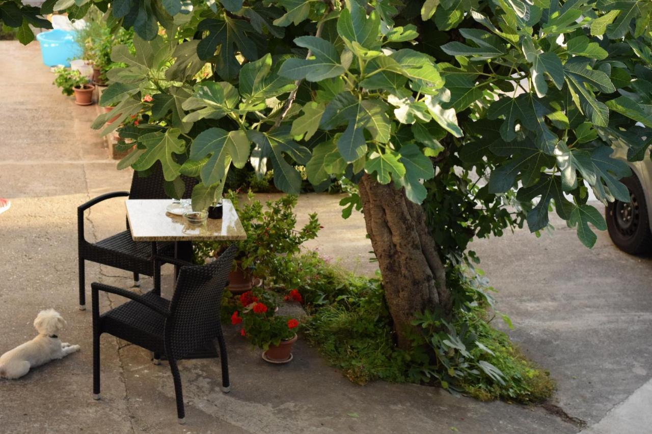 Studio Apartman Marina Vodice Zewnętrze zdjęcie